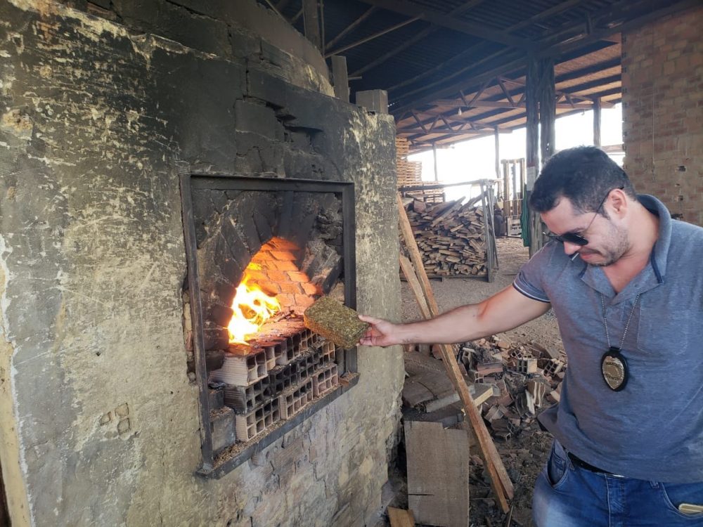 Maconha sendo incinerada em Manacapuru